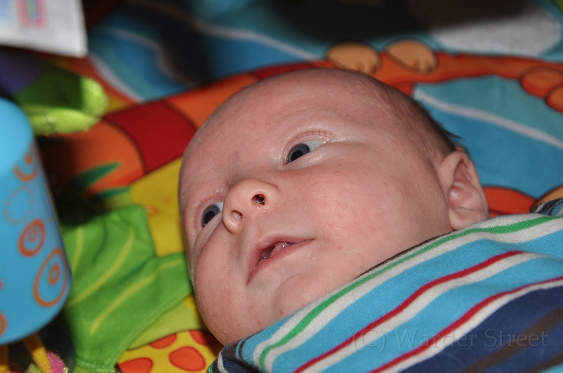 William's Fifth Week 10.jpg